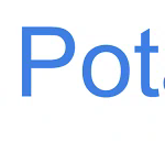 深入探讨：Potato App的起源与发展