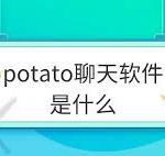 深入探讨“土豆加群”的文化现象及其背后的意义
