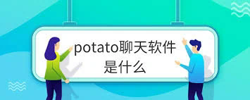 深入探讨“土豆加群”的文化现象及其背后的意义