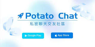 深入探讨Potato软件：功能与应用分析